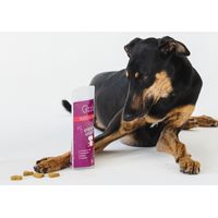 Gizzls Stress & Anxiety CBD Treats - Med/Large Dog